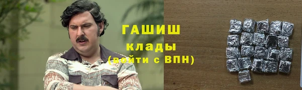 индика Вязники