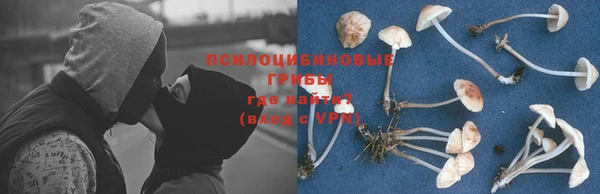 кокс Кодинск