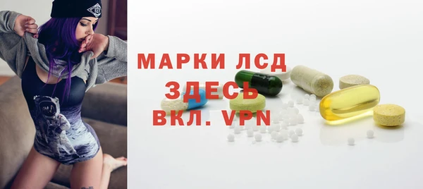 индика Вязники