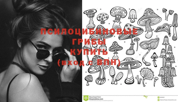 кокс Кодинск