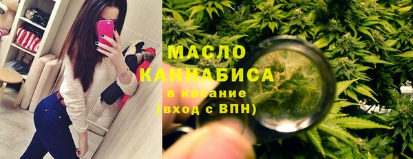 гашик Вязьма