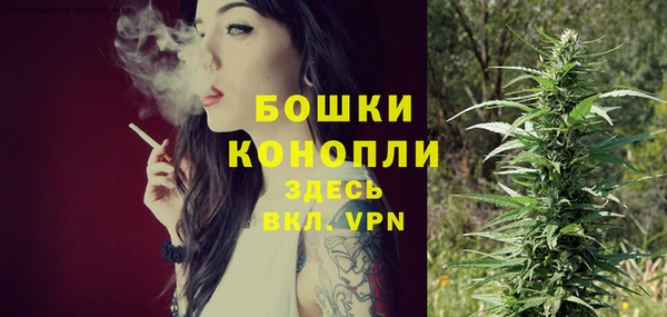дживик Козловка