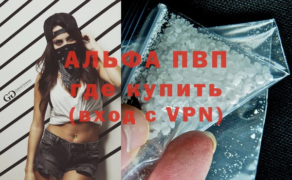 гашик Вязьма