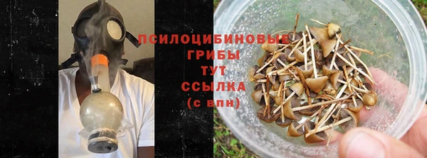 дживик Козловка