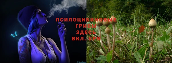 гашик Вязьма