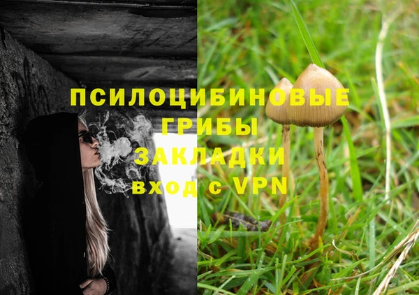 ешки Володарск