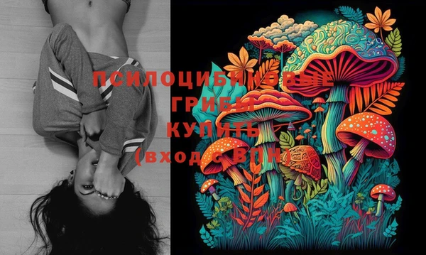 первитин Вяземский