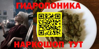 бошки Донецк
