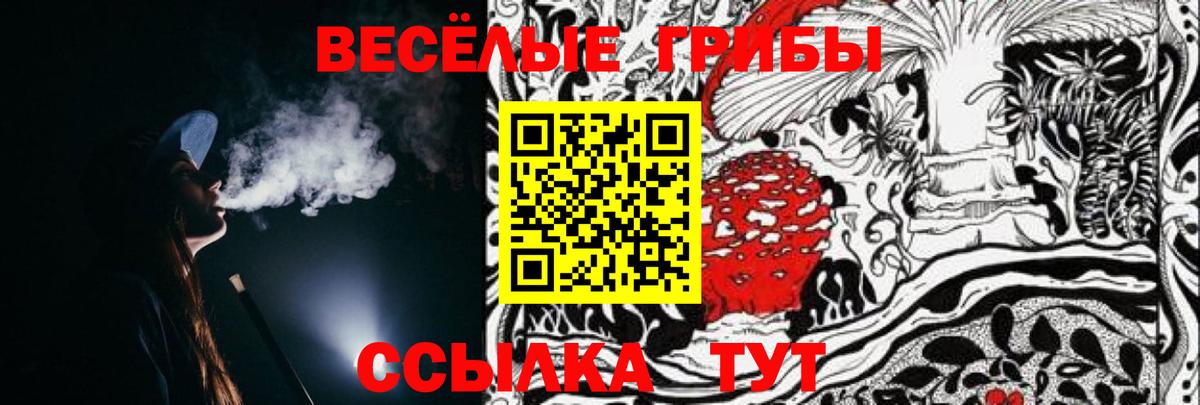 Саяногорск  Галлюциногенные грибы Psilocybine cubensis  где купить наркоту  Галлюциногенные грибы Psilocybe  Вход с VPN 