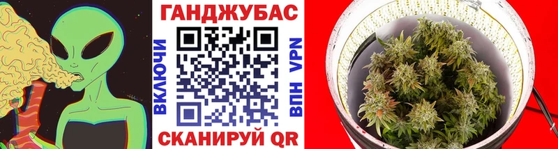 Бошки марихуана Amnesia  Саяногорск 